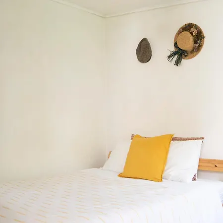 Growth House-3